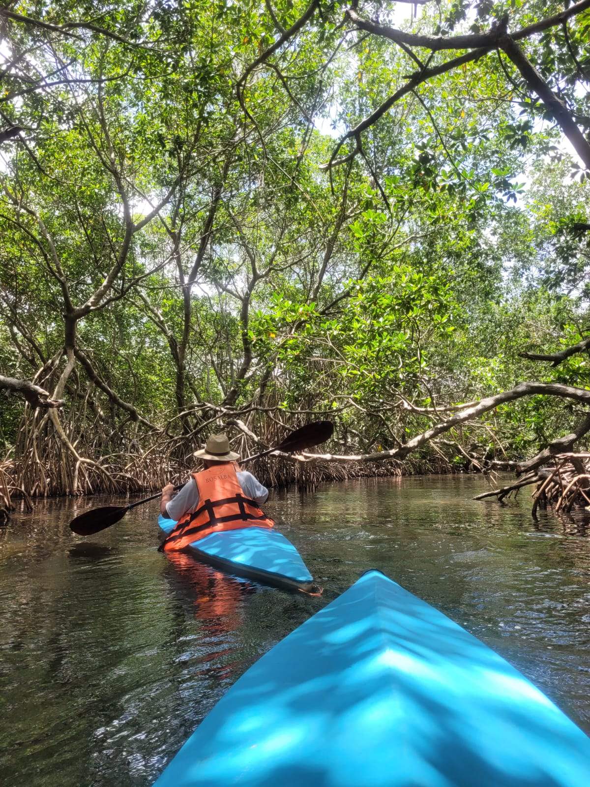 paseo en kayak en los manglares de la laguan de sontecomapan